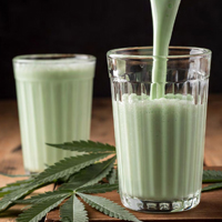 Does Thandai Contain Bhang